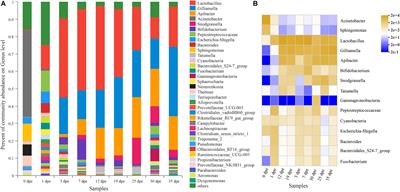 The Succession of the Gut Microbiota in Insects: A Dynamic Alteration of the Gut Microbiota During the Whole Life Cycle of Honey Bees (Apis cerana)